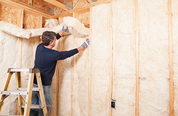 Types of Insulation We Offer in Bloomfield, NM